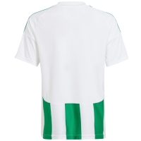 adidas Striped 24 white-green IW2138 kids' jersey