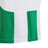 adidas Striped 24 white-green IW2138 kids' jersey
