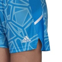 adidas LS Goal Jersy Sn99