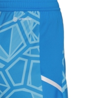 adidas LS Goal Jersy Sn99