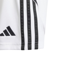adidas Tiro 24 Football Shorts Juniors