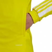 Men's sweatshirt adidas Squadra 21 Training yellow GP6465