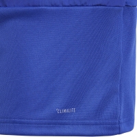 Boy's sweatshirt adidas Condivo 18 Training Top JR blue CG0390