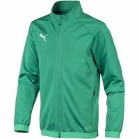 Boy's sweatshirt Puma Liga Training Jacket green 655688 05