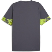Puma IndividualCUP Football Top Adults
