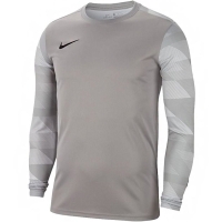 Nike Dry Park IV JSY LS GK JUNIOR gray Goalkeeper jersey gray CJ6072 052