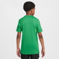 Nike England Goalkeeper Shirt 2025 Juniors