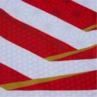 Canterbury Japan Home RWC Juniors 2023