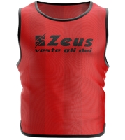 CASACCA PROMO 10 PZ