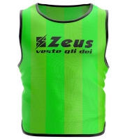 CASACCA PROMO 10 PZ