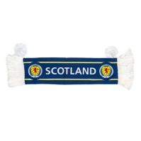 Team Scotland Car Scarf Hanger