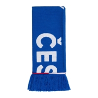 Team Euros 2024 Football Scarf