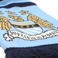 Team Football Scarf