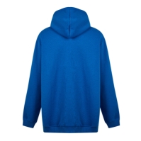 Castore Rangers Hoodie Mens