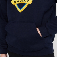 MLS Logo Hoodie Adults