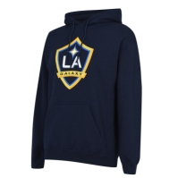 MLS Logo Hoodie Adults