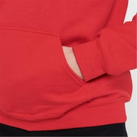 MLS Logo Hoodie Adults