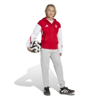 adidas Arsenal Anthem Jacket Juniors