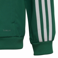 Adidas Tiro 19 Presentation Jacket Junior DW4790