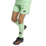 adidas Liverpool Home Goalkeeper Minikit 2025 2026 Infants
