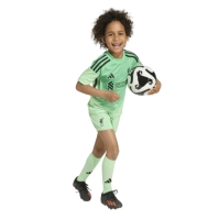 adidas Liverpool Home Goalkeeper Minikit 2025 2026 Infants