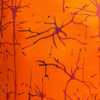 Maieu Elite Ix Orange Joma