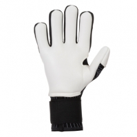 Area 360 Goalkeeper Gloves Black-anthracite