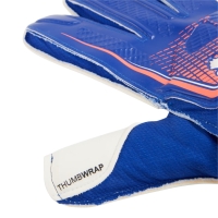 Puma Ultra Play RC goalkeeper gloves blue 41952 01