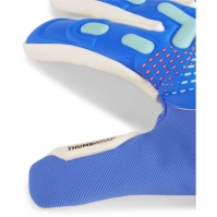 Puma Future Match Goalkeeper Gloves Adults