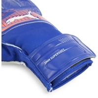 Puma Ultra Play Goalkeeper Glove
