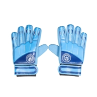 Team Team Delta GK Gloves