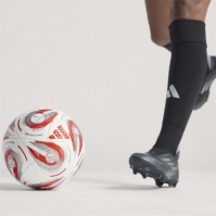 adidas Euros 2025tm Pro Ball Adults