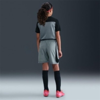 Nike Acd25 Short WP Jn62