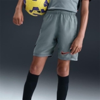 Nike Acd25 Short WP Jn62