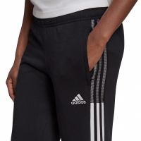Women's pants adidas Tiro 21 Sweat black GM7334