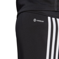 adidas Tiro 23 Club football pants