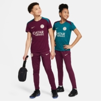 Nike Paris Saint-Germain Strike Pants 2024 2025 Juniors