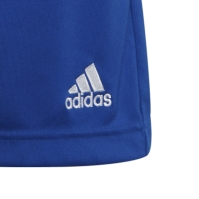 adidas ENT22 Shorts Juniors