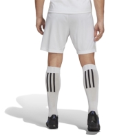 adidas Entrada 22 Shorts Mens