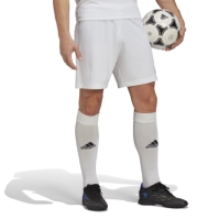 adidas Entrada 22 Shorts Mens