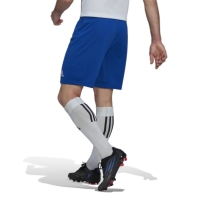 adidas Entrada 22 Shorts Mens