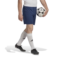 adidas Entrada 22 Shorts Mens