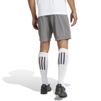 adidas Entrada 22 Shorts Mens