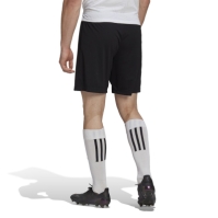 adidas Entrada 22 Shorts Mens