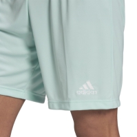 adidas Entrada 22 Shorts Mens