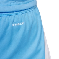 Men's adidas Tiro 24 shorts blue JI6093