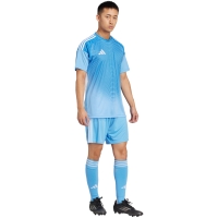 Men's adidas Tiro 24 shorts blue JI6093