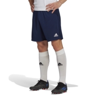 adidas Entrada 22 Training Shorts Mens