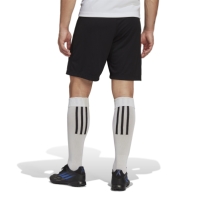 adidas Entrada 22 Training Shorts Mens