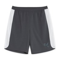 Puma Finesse Performance Training Shorts Mens